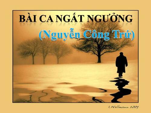 Quan niệm nhân sinh qua bài bài ca ngất ngưởng của Nguyễn Công Trứ